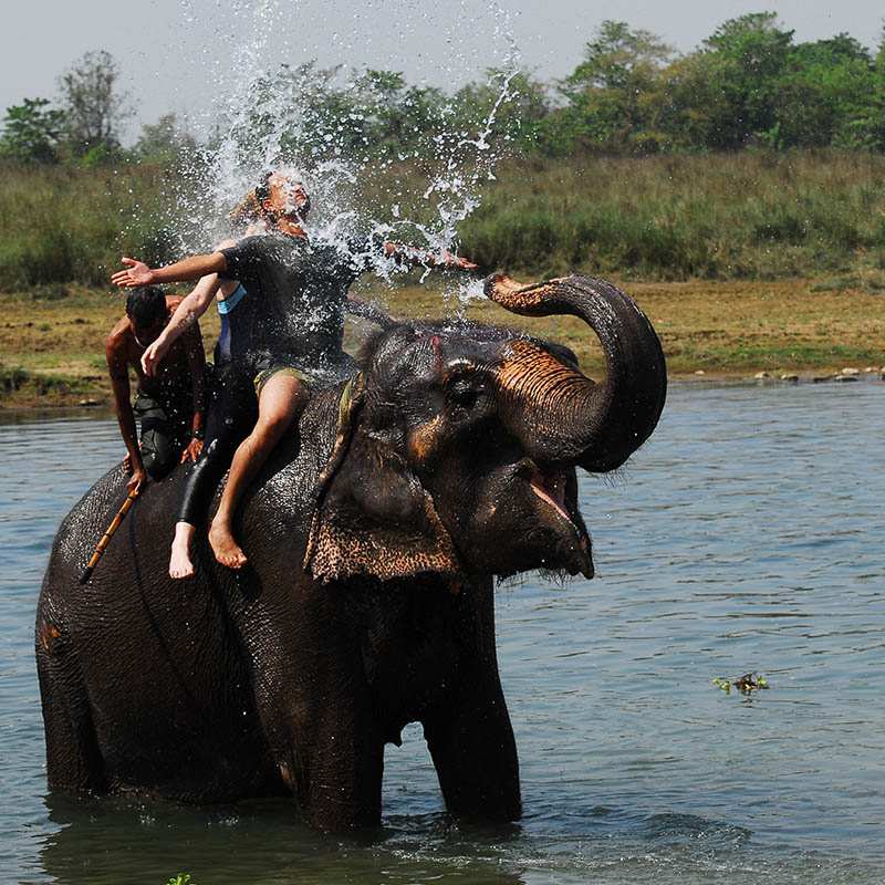 Chitwan Nepal Kesari Tours