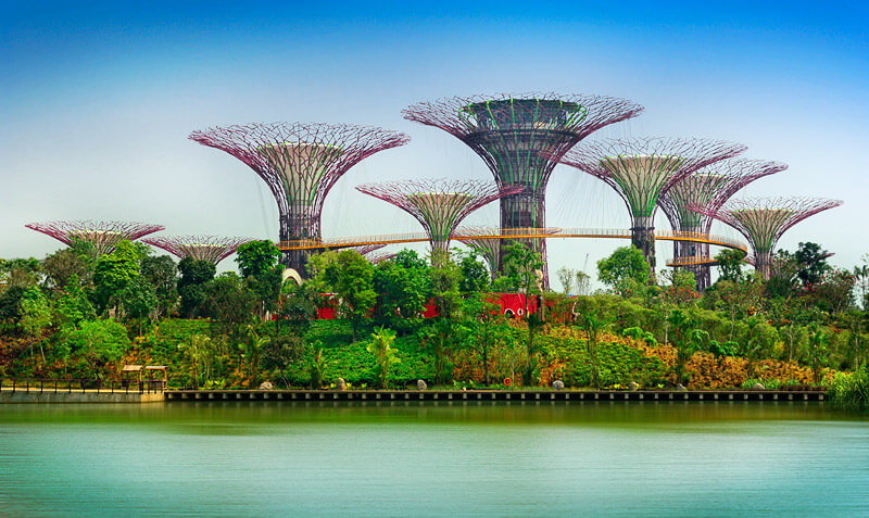 Singapore Garden By The Bay