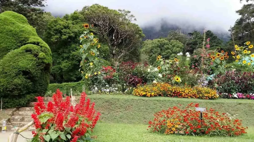 HakgalaBotanicalGarden 1 1 1024x575