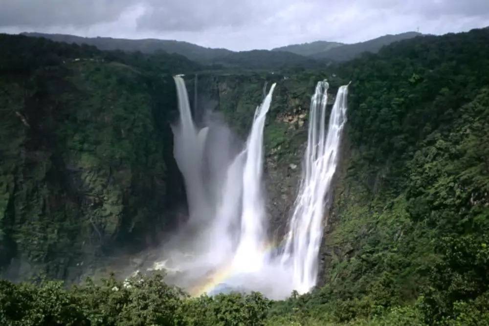 Trip Search Result JOG FALL
