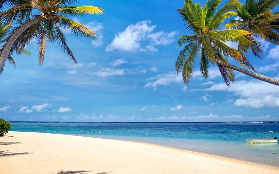 Trip Search Result Beaches