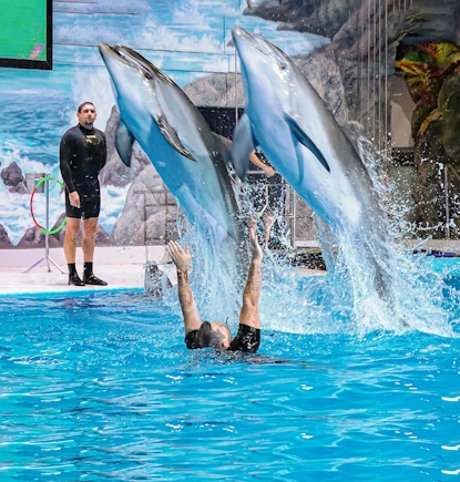 Dubai Tour 1