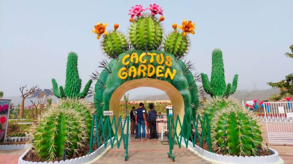 Trip Search Result Jpeg Optimizer Cactus Garden 1024x575
